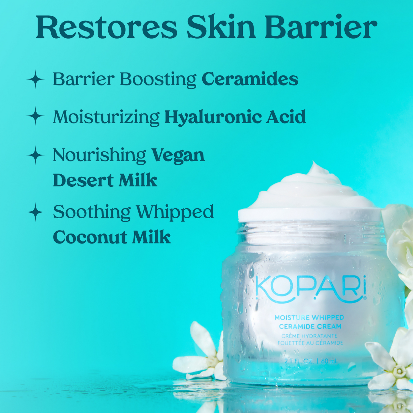 Moisture Whipped Ceramide Cream + Mini Cleanser