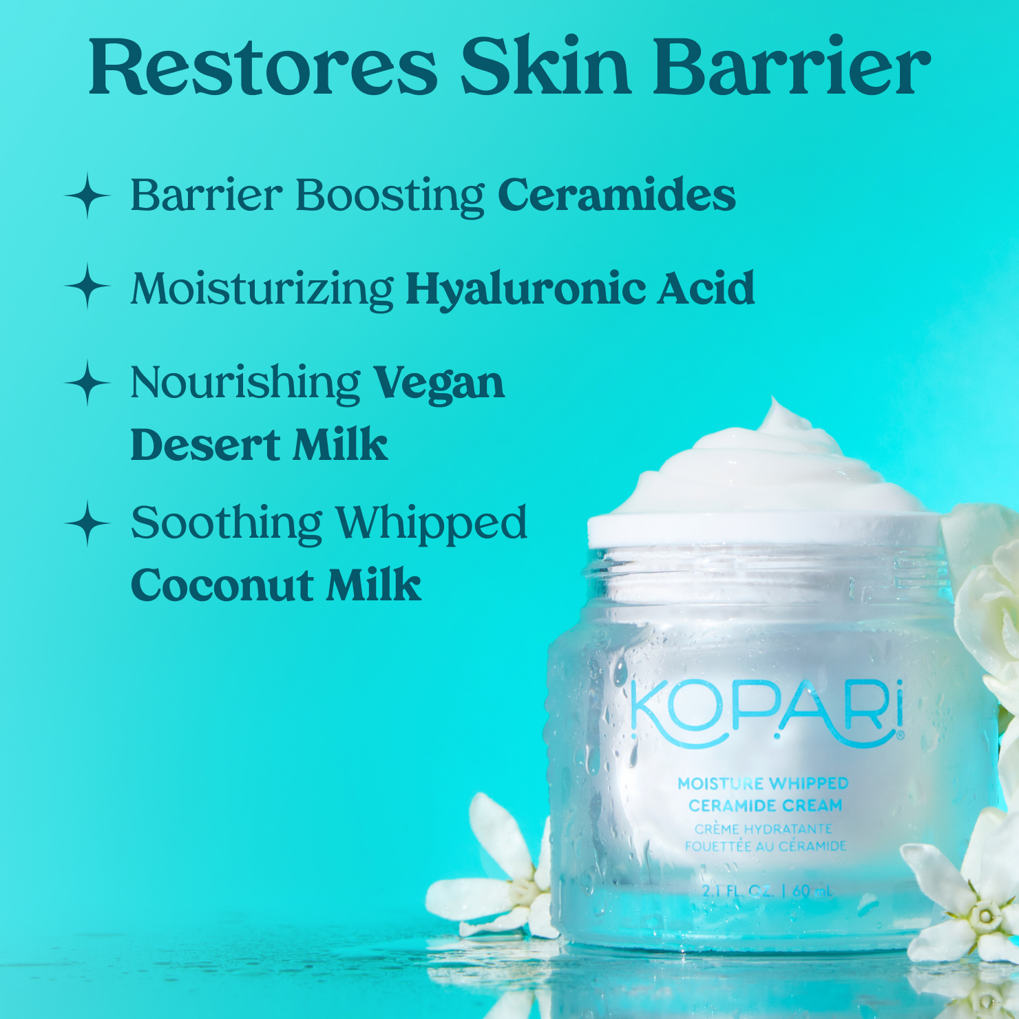 Moisture Whipped Ceramide Cream + Mini Cleanser
