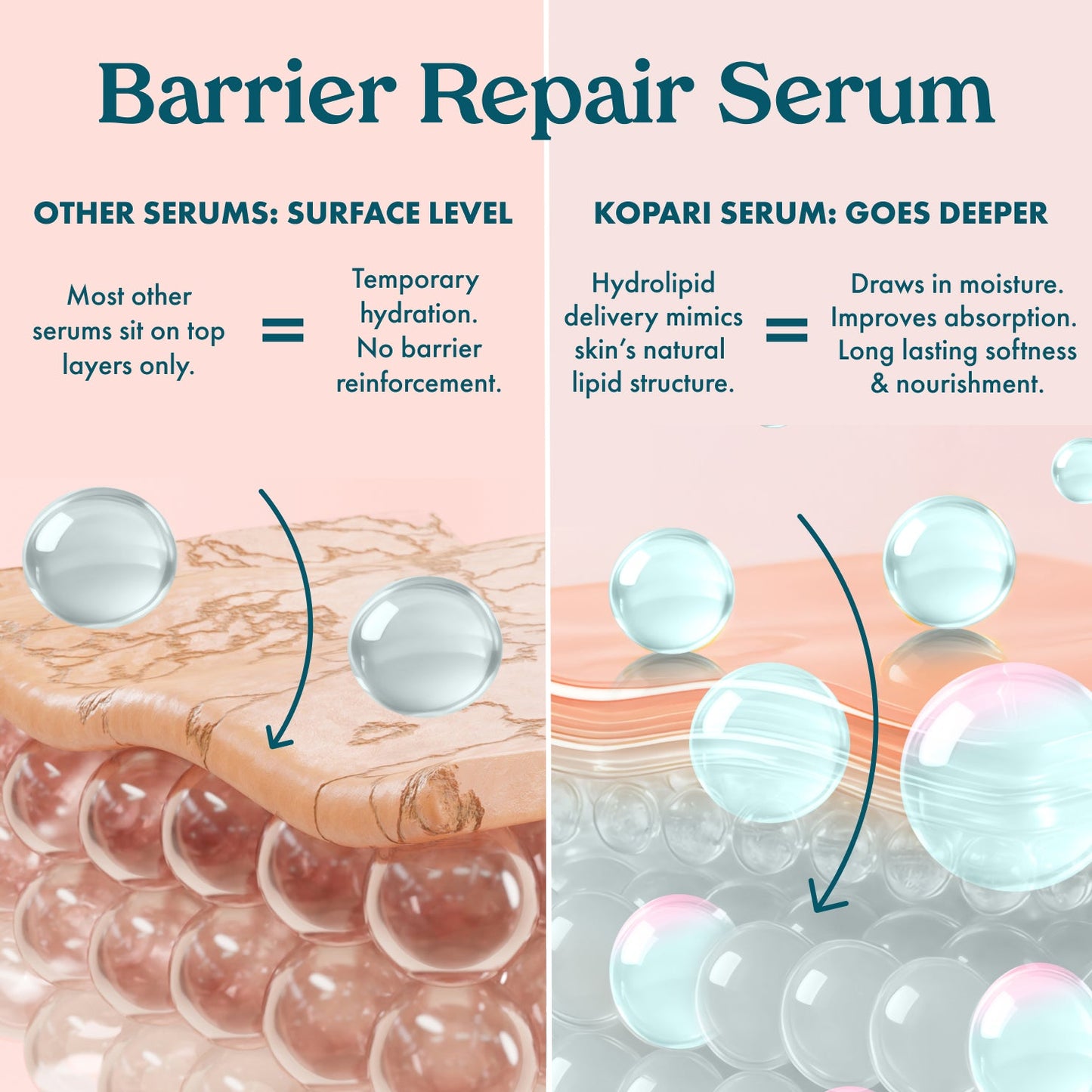 Glazed & Guarded Skin + SPF Duo