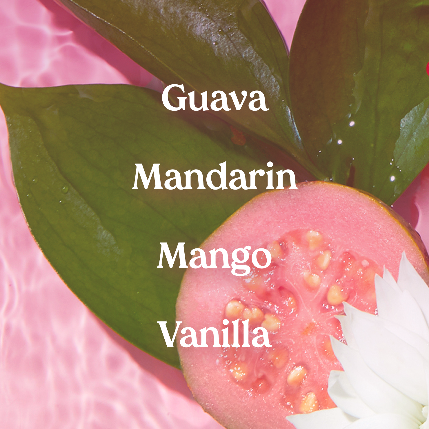 Mini Pink Guava Hair & Body Mist