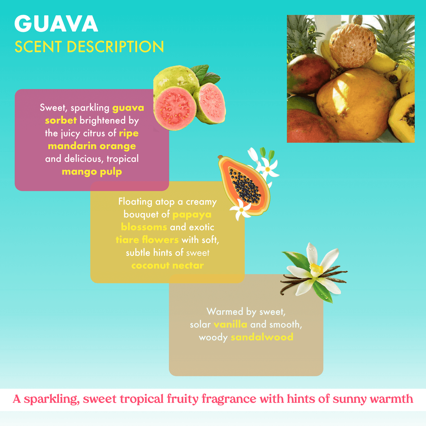 Guava Hydrating Body Wash